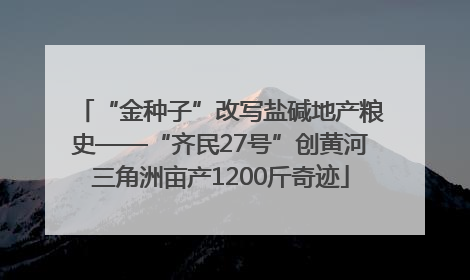 “金种子”改写盐碱地产粮史——“齐民27号”创黄河三角洲亩产1200斤奇迹