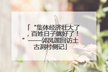 “集体经济壮大了，百姓日子就好了！”——郭凤莲回访土古洞村侧记