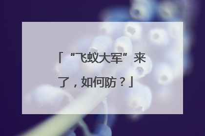 “飞蚁大军”来了，如何防？