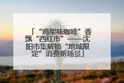 “鸡架味咖啡”香飘“西红市”——沈阳市集解锁“地域限定”消费新场景