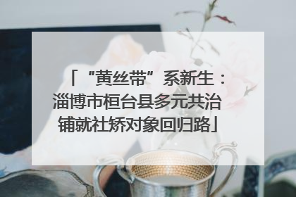 “黄丝带”系新生：淄博市桓台县多元共治铺就社矫对象回归路
