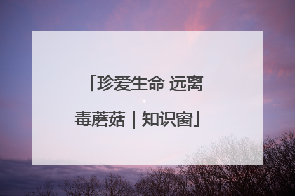 珍爱生命 远离毒蘑菇｜知识窗