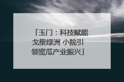 玉门：科技赋能戈壁绿洲 小院引领蜜瓜产业振兴