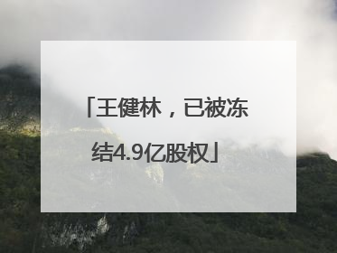 王健林，已被冻结4.9亿股权