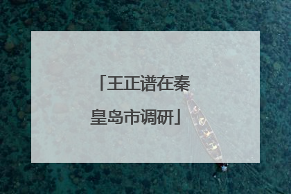 王正谱在秦皇岛市调研