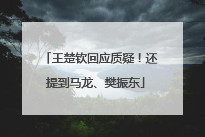 王楚钦回应质疑！还提到马龙、樊振东