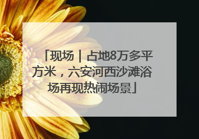 现场｜占地8万多平方米，六安河西沙滩浴场再现热闹场景
