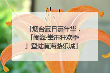 烟台夏日嘉年华：「闹海·拳击狂欢季」登陆黄海游乐城