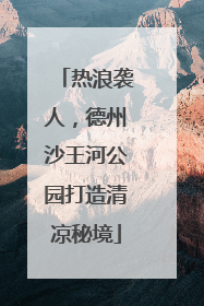热浪袭人，德州沙王河公园打造清凉秘境