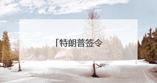 特朗普签令“放行”