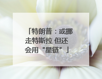 特朗普：或挪走特斯拉 但还会用“星链”