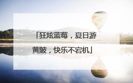 狂炫蓝莓，夏日游黄陂，快乐不宕机
