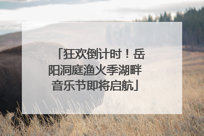 狂欢倒计时！岳阳洞庭渔火季湖畔音乐节即将启航