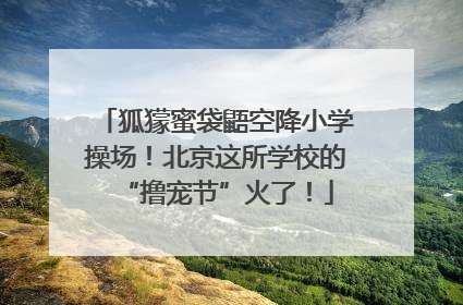 狐獴蜜袋鼯空降小学操场！北京这所学校的“撸宠节”火了！