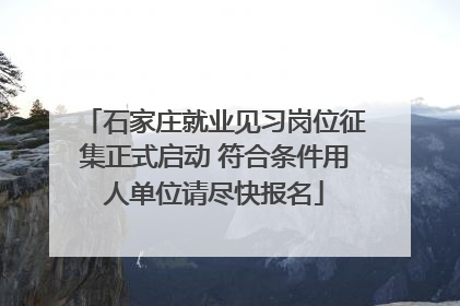 石家庄就业见习岗位征集正式启动 符合条件用人单位请尽快报名