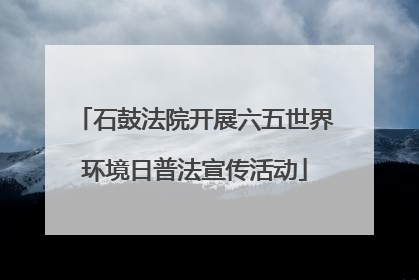 石鼓法院开展六五世界环境日普法宣传活动