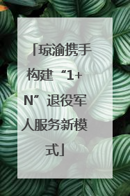 琼渝携手构建“1+N”退役军人服务新模式