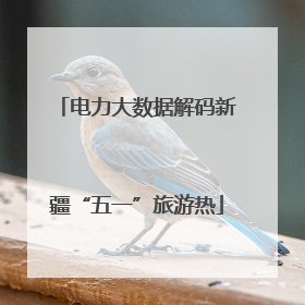 电力大数据解码新疆“五一”旅游热