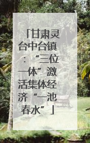 甘肃灵台中台镇：“三位一体”激活集体经济“一池春水”
