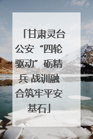 甘肃灵台公安“四轮驱动”砺精兵 战训融合筑牢平安基石
