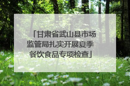 甘肃省武山县市场监管局扎实开展夏季餐饮食品专项检查