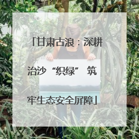 甘肃古浪：深耕治沙“织绿” 筑牢生态安全屏障