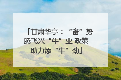 甘肃华亭：“畜”势腾飞兴“牛”业 政策助力添“牛”劲