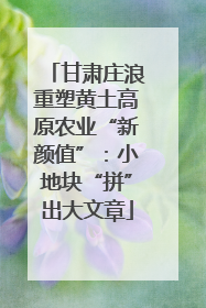 甘肃庄浪重塑黄土高原农业“新颜值”：小地块“拼”出大文章