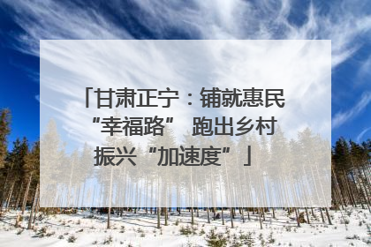 甘肃正宁：铺就惠民“幸福路” 跑出乡村振兴“加速度”