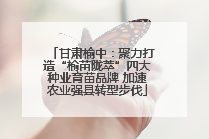 甘肃榆中：聚力打造“榆苗陇萃”四大种业育苗品牌 加速农业强县转型步伐