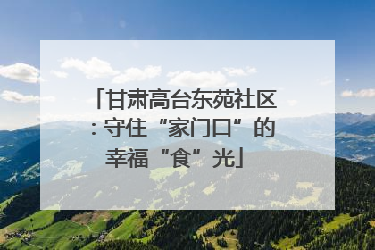 甘肃高台东苑社区：守住“家门口”的幸福“食”光
