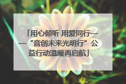 用心倾听 用爱同行——“音创未来光明行”公益行动温暖再启航