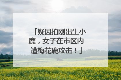 疑因拍刚出生小鹿，女子在市区内遭梅花鹿攻击！
