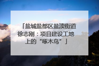 盐城盐都区盐渎街道徐志刚：项目建设工地上的“啄木鸟”
