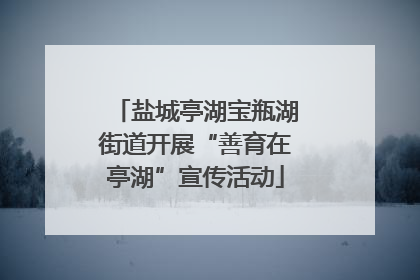 盐城亭湖宝瓶湖街道开展“善育在亭湖”宣传活动
