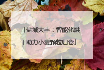 盐城大丰：智能化烘干助力小麦颗粒归仓