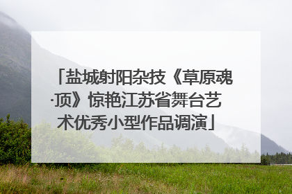 盐城射阳杂技《草原魂·顶》惊艳江苏省舞台艺术优秀小型作品调演