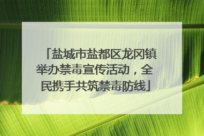 盐城市盐都区龙冈镇举办禁毒宣传活动，全民携手共筑禁毒防线