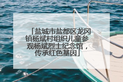 盐城市盐都区龙冈镇杨斌村组织儿童参观杨斌烈士纪念馆，传承红色基因