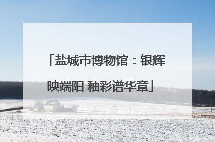盐城市博物馆：银辉映端阳 釉彩谱华章
