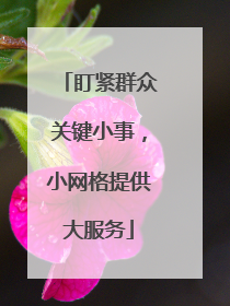 盯紧群众关键小事，小网格提供大服务