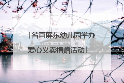 省直屏东幼儿园举办爱心义卖捐赠活动