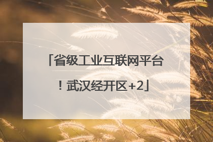 省级工业互联网平台！武汉经开区+2