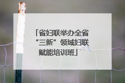 省妇联举办全省“三新”领域妇联赋能培训班