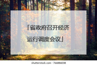 省政府召开经济运行调度会议