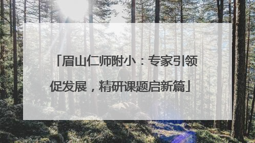 眉山仁师附小：专家引领促发展，精研课题启新篇
