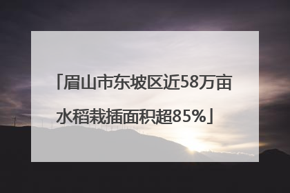 眉山市东坡区近58万亩水稻栽插面积超85%