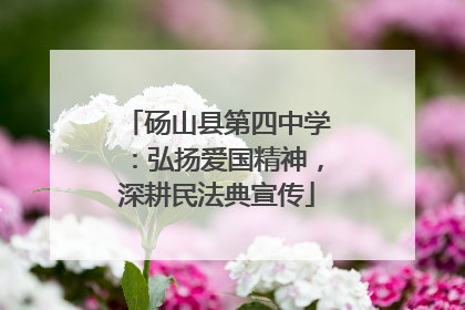 砀山县第四中学：弘扬爱国精神，深耕民法典宣传