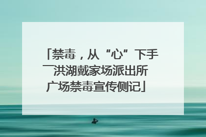 禁毒，从“心”下手――洪湖戴家场派出所广场禁毒宣传侧记