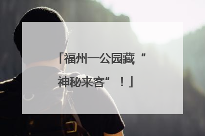 福州一公园藏“神秘来客”！